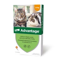 Advantage rácsepegtetõ oldat kistestû macskáknak és nyulaknak A.U.V.