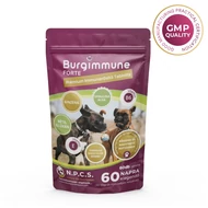 Burgimmune Forte prémium immunerősítő tabletta kutyáknak 30 darab