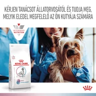  Royal Canin Multifunction Renal + Hypoallergenic - száraz eledel felnőtt kutyák részére veseelégtelenségre, veseműködés támogatására és hipoallergén 4 kg