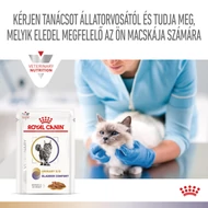 Royal Canin Multifunction Urinary S/O + Bladder Comfort - nedves eledel felnőtt macskák részére struvit kő és idiopátiás hólyaghurut ellen 12x85 g