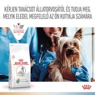 Royal Canin Multifunction Urinary S/O + Hypoallergenic - száraz eledel felnőtt kutyák részére struvit kő ellen és hipoallergén 10 kg