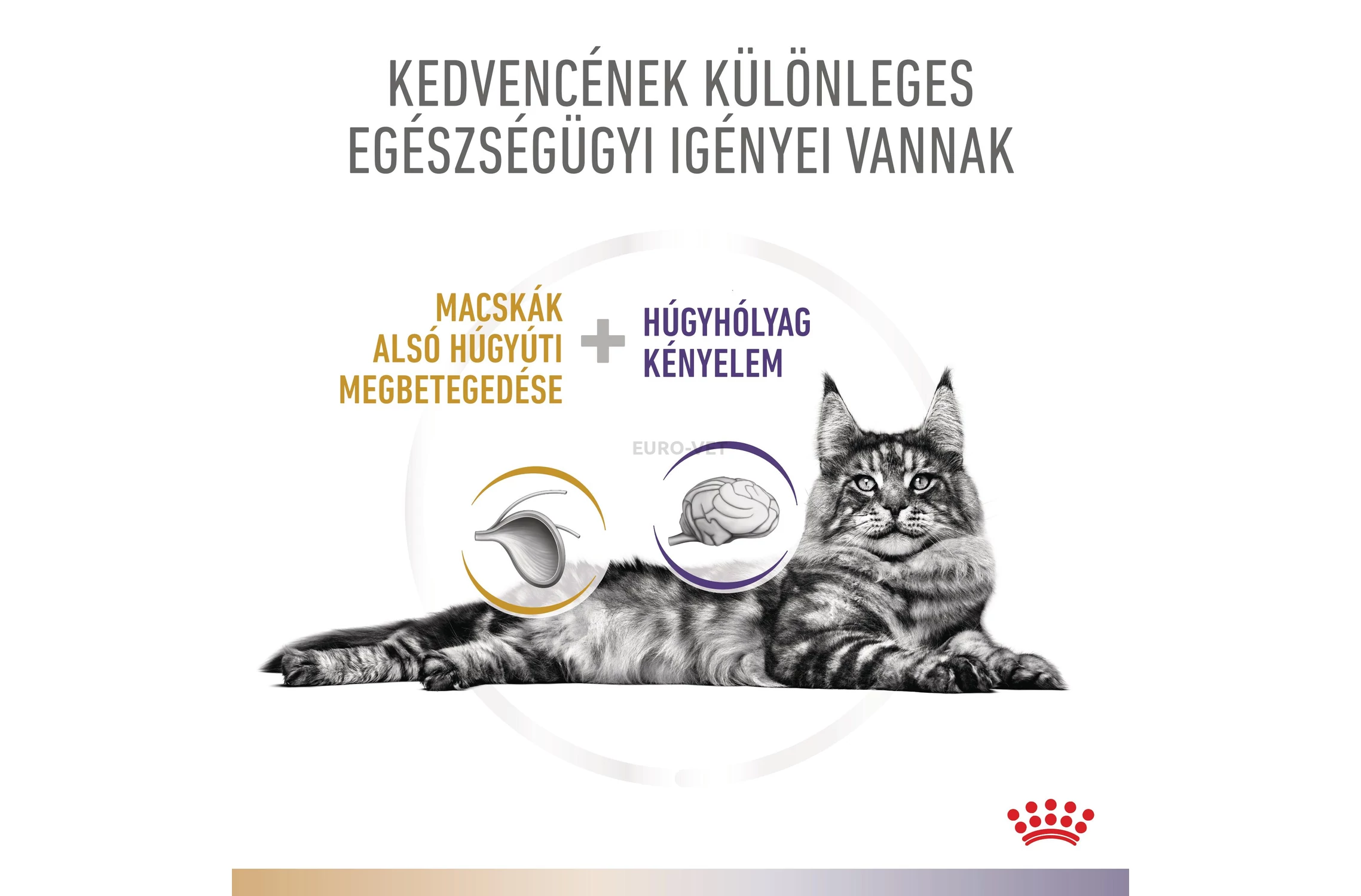 Royal Canin Multifunction Urinary S/O Bladder Comfort száraz