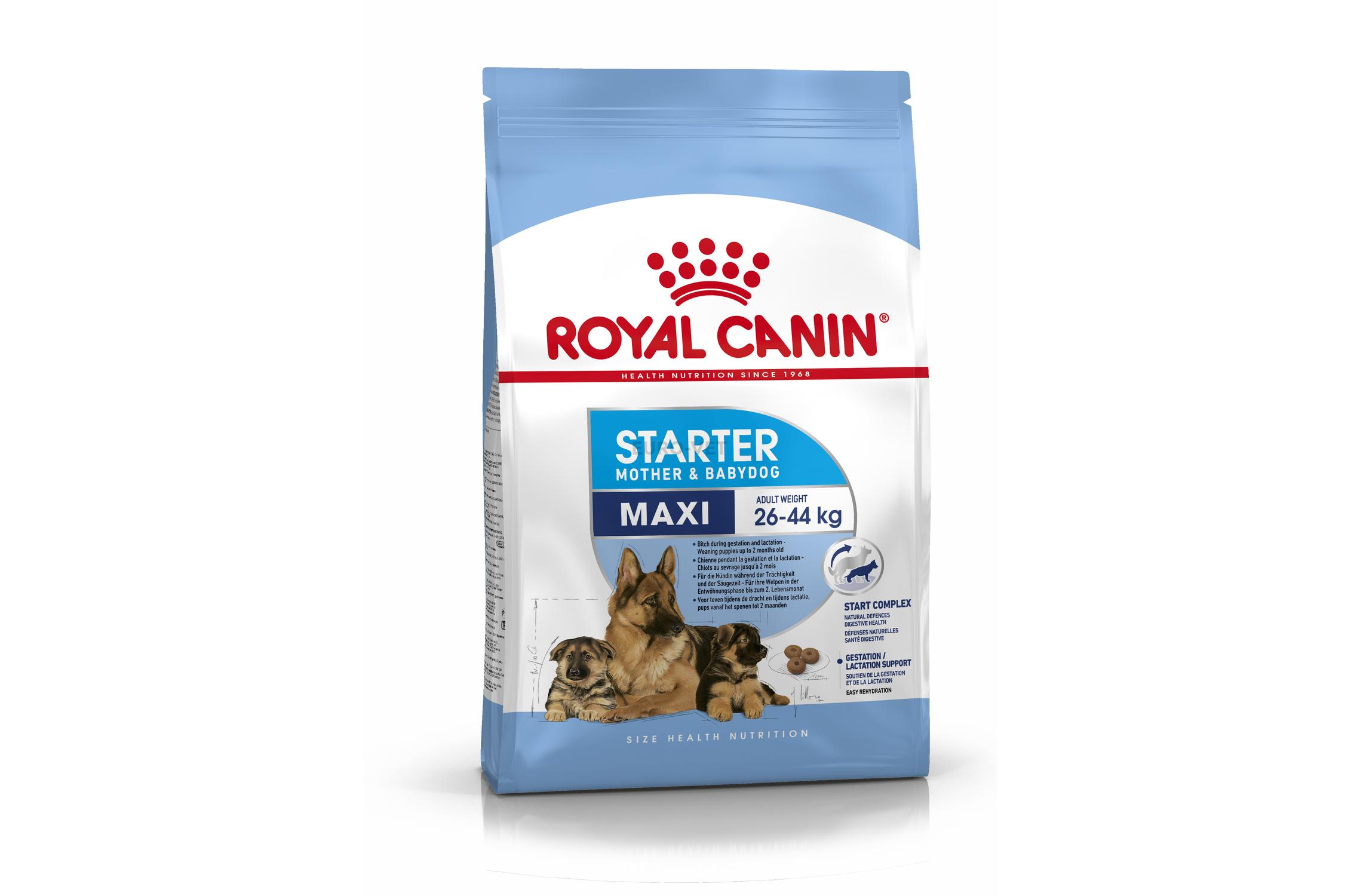 royal canin starter maxi puppy