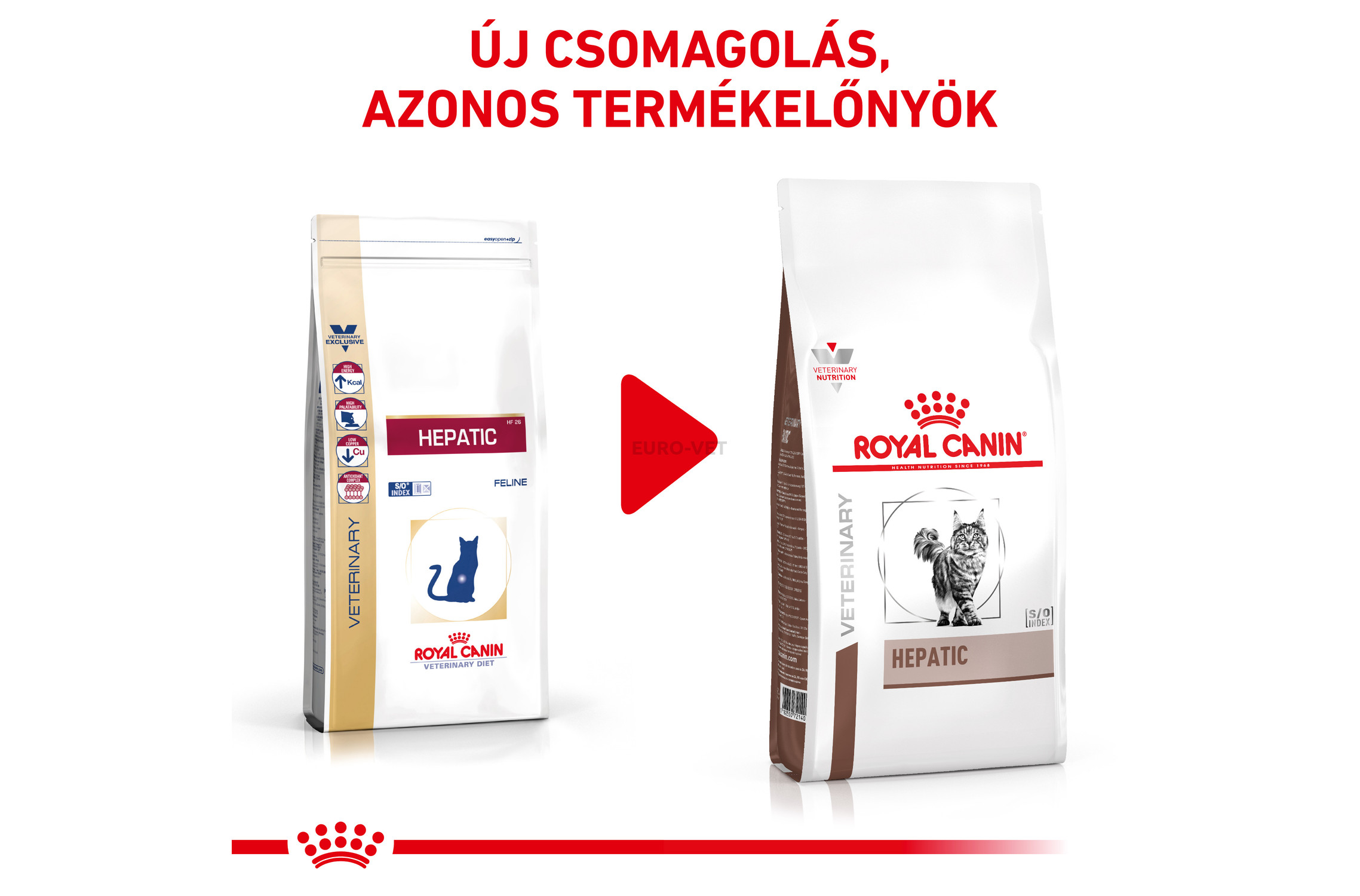 royal hepatic feline