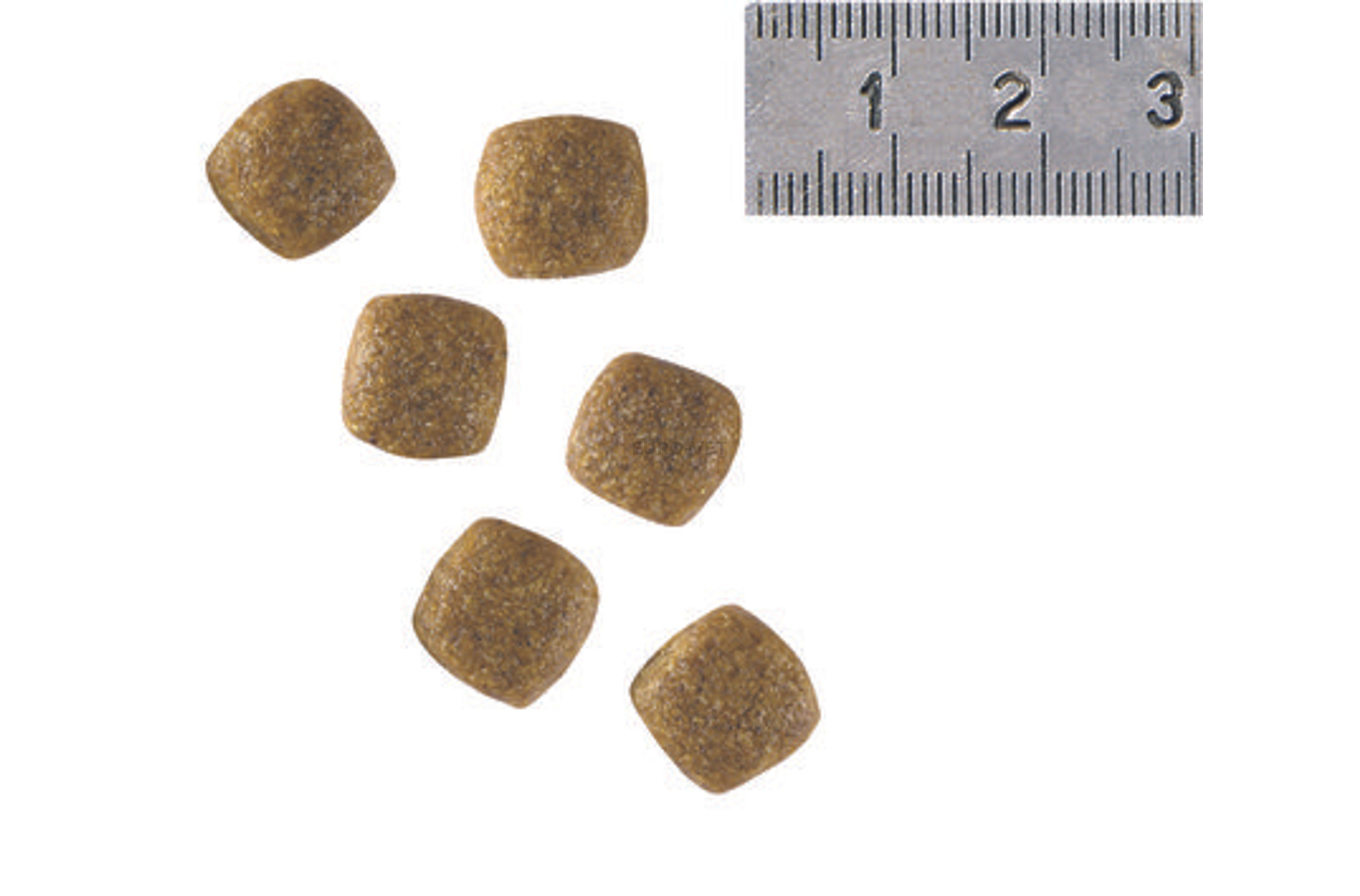 royal canin adult small dog