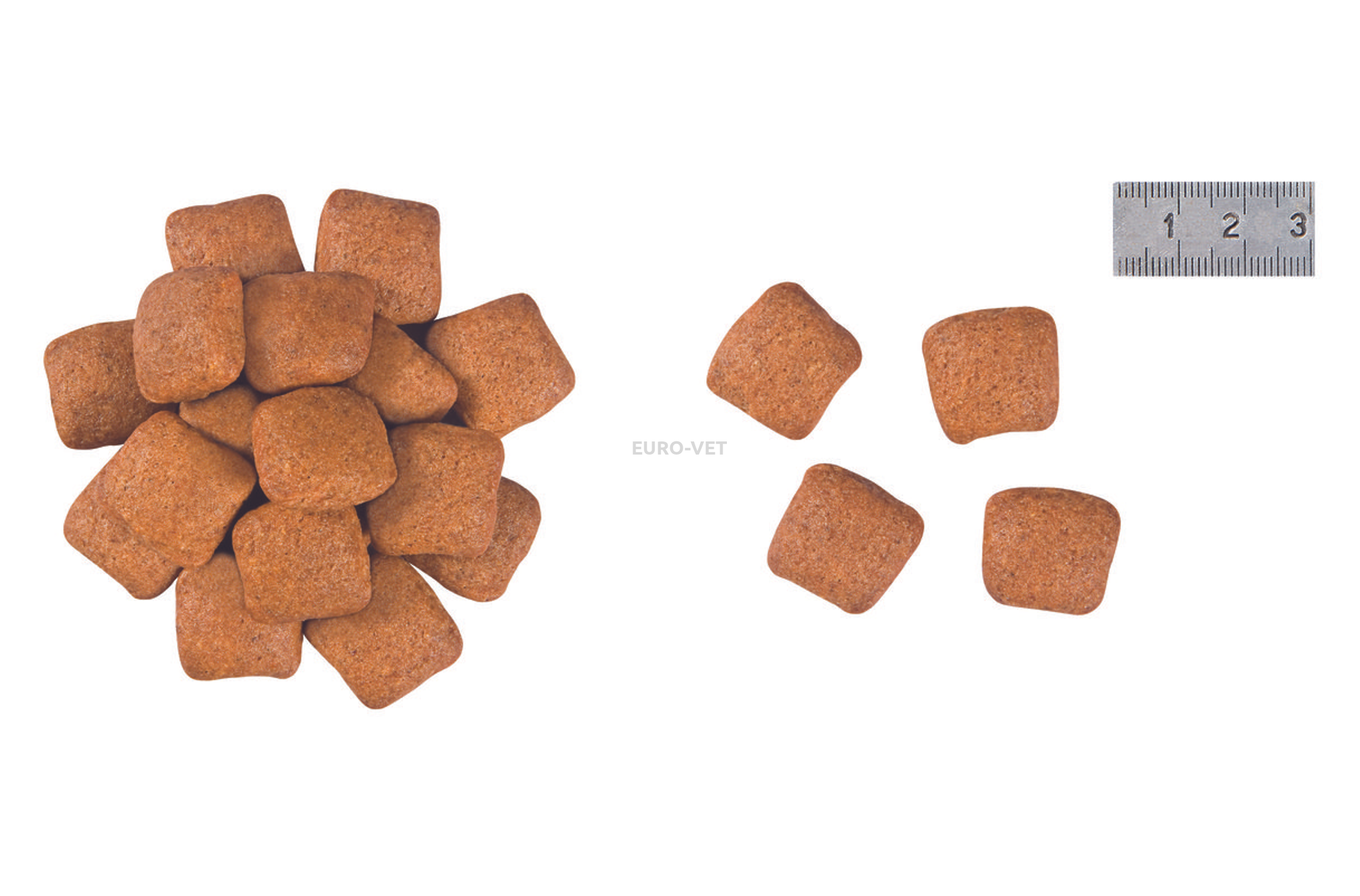 mature large dog royal canin