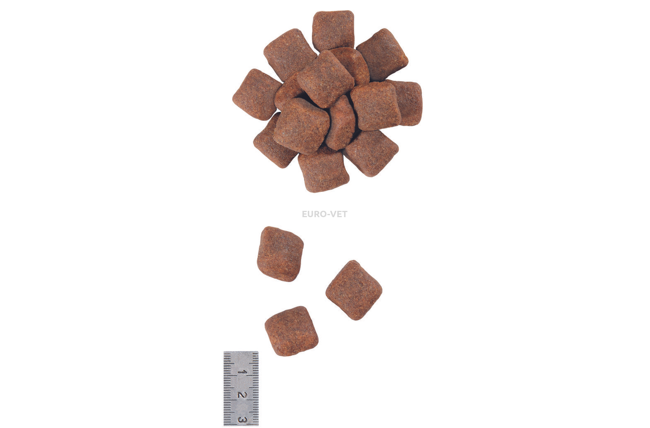 pediatric junior large dog