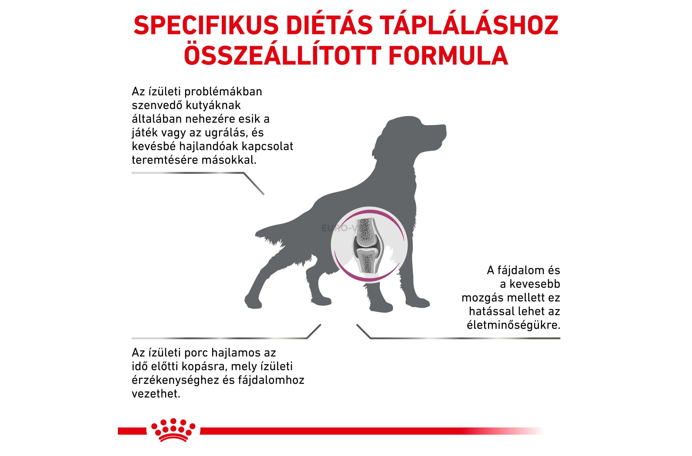 Royal Canin Mobility C2P+ Hundefutter – 7 Kg, Für Gelenkgesundheit