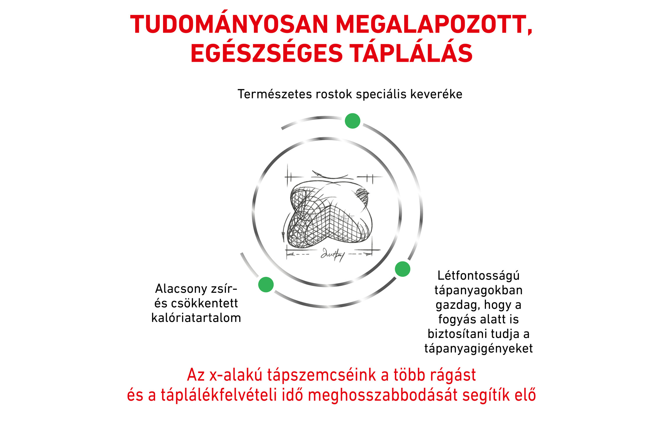 royal canin satiety weight management 6kg