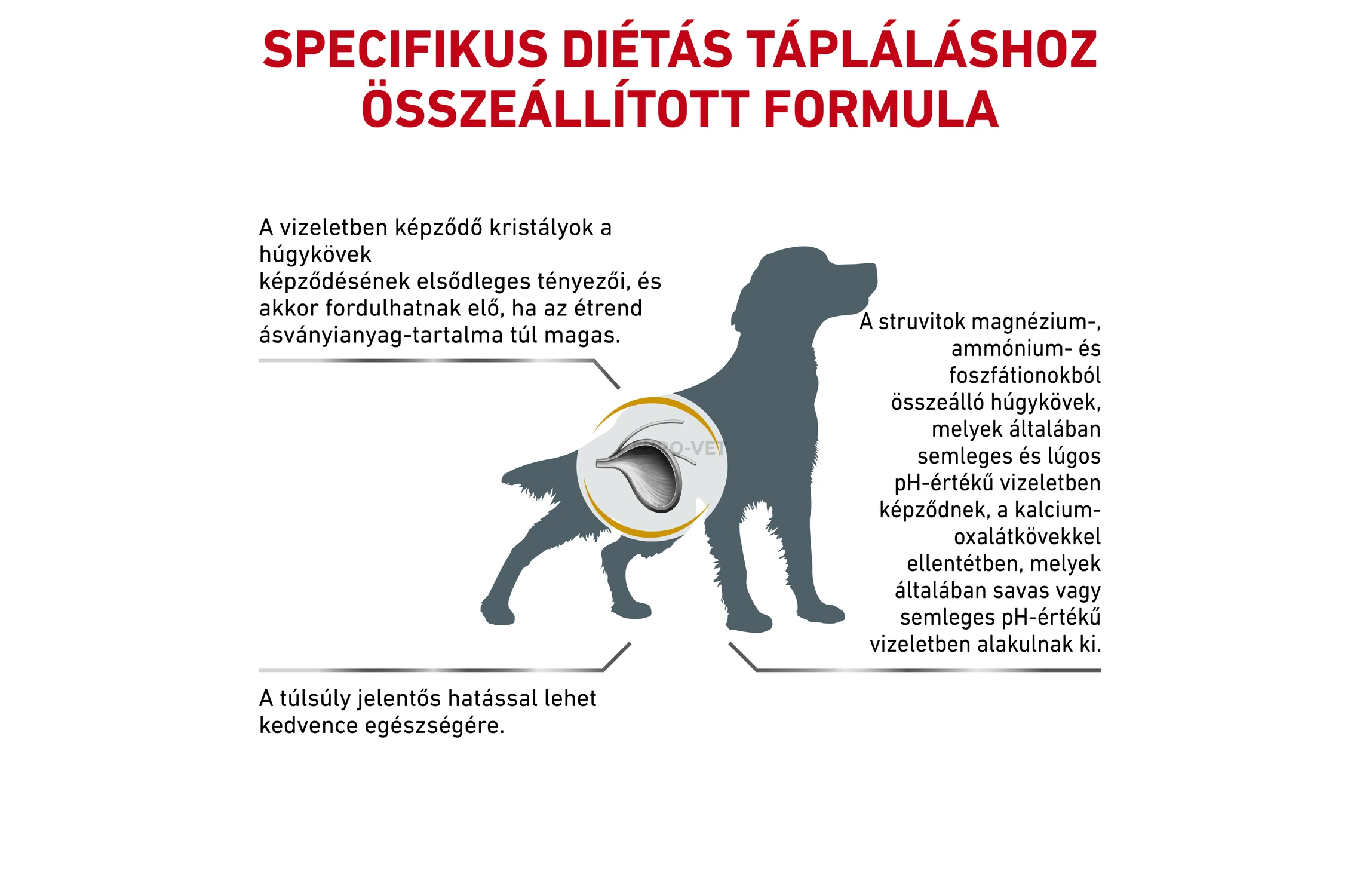 Royal Canin VET DIET Urinary S/O Moderate Calorie 6,5 Kg – Diätfutter Für Katzen