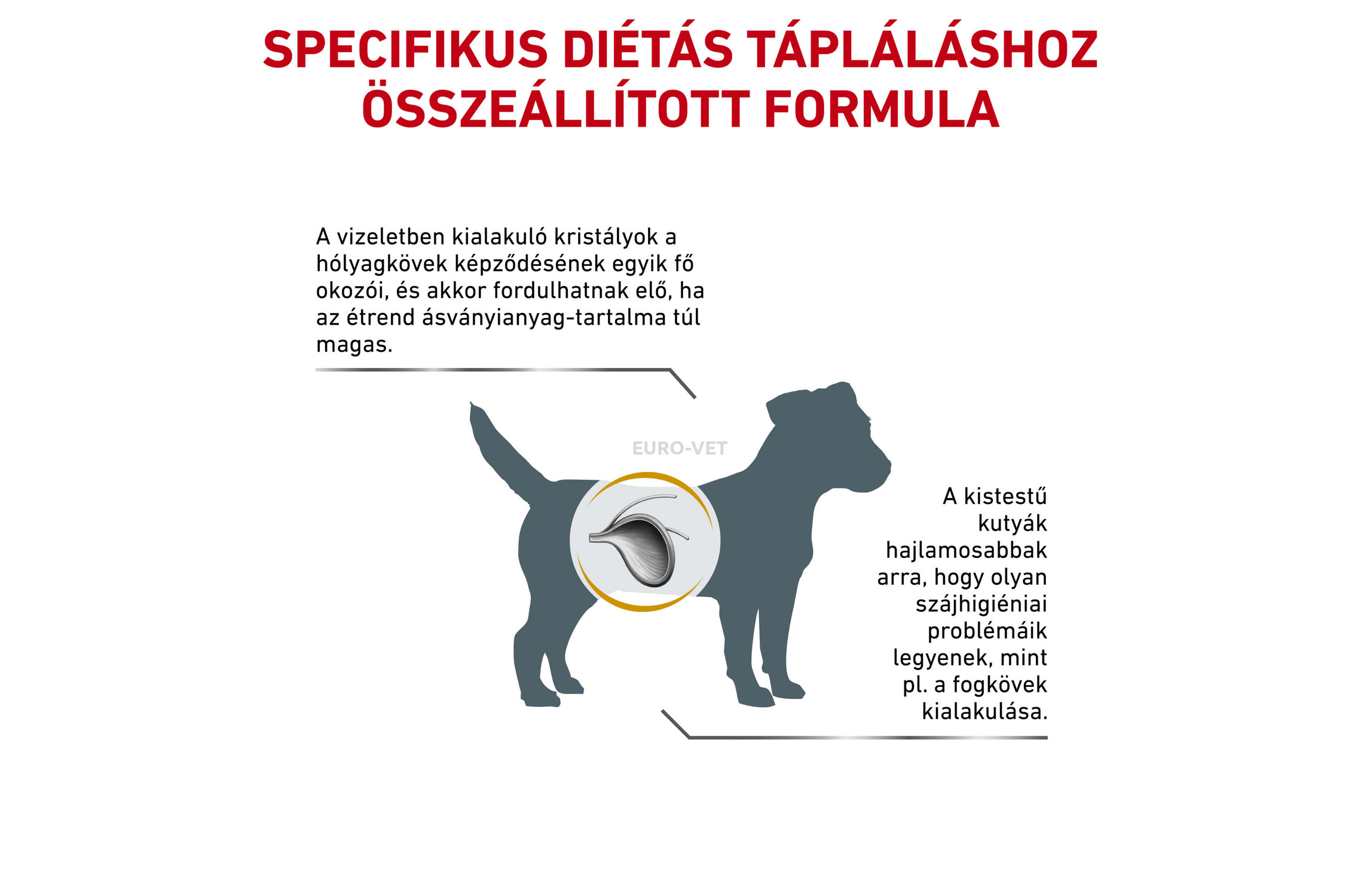 royal urinary small dog