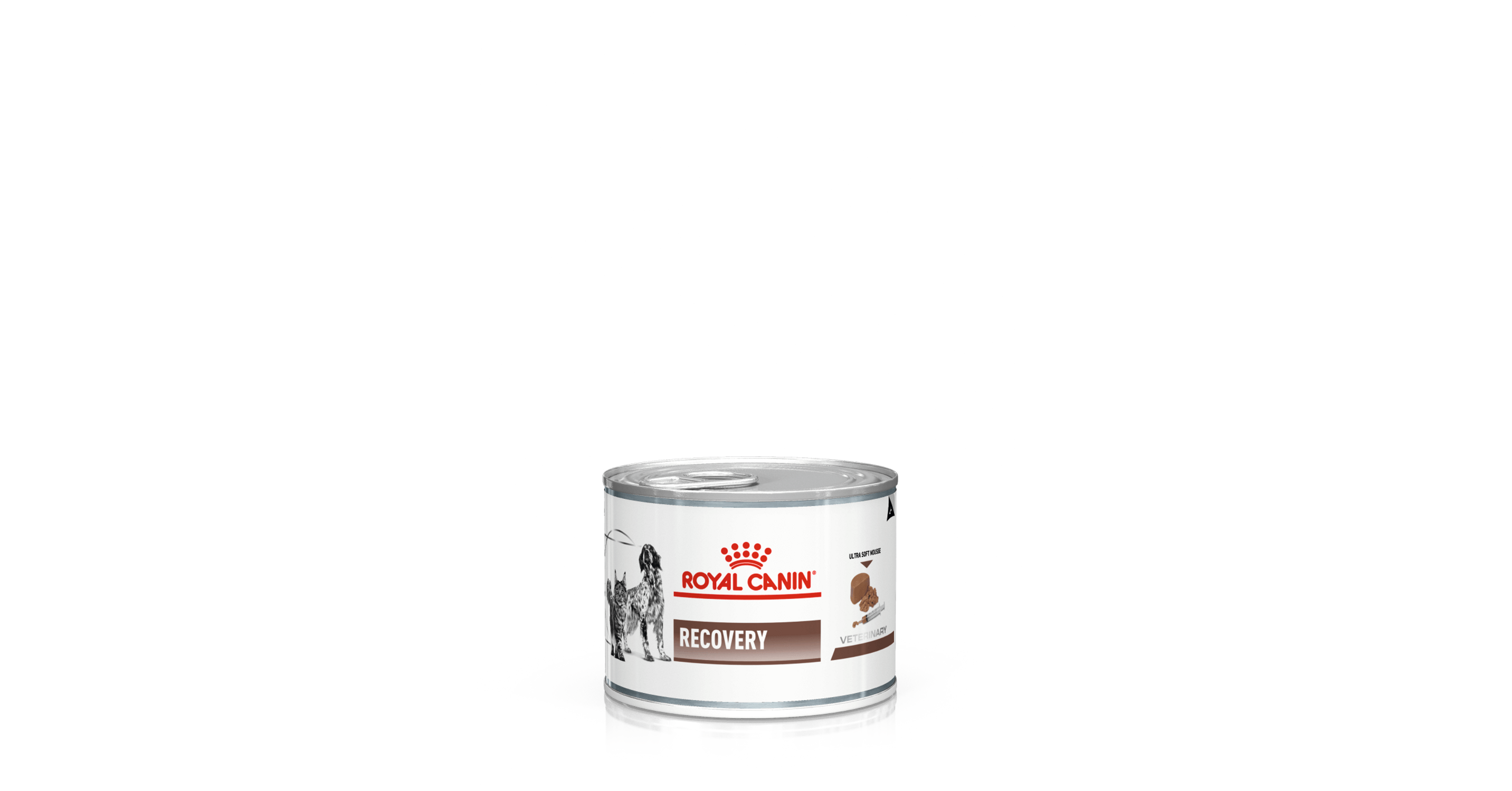 Recovery  Royal Canin ES