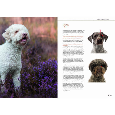 Book Lagotto romagnolo grooming -The art of keeping it rustic-