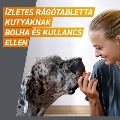 Frontpro 11mg-os rágótabletta kutyáknak 2-4 kg-ig (3x11mg)