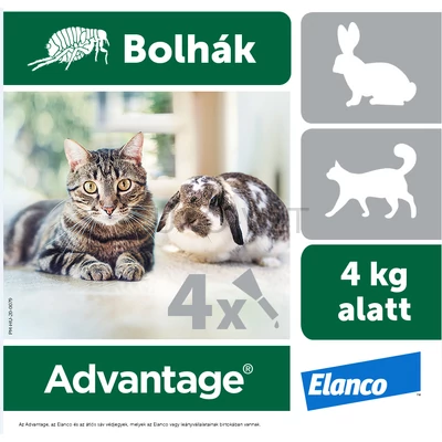 Advantage rácsepegtetõ oldat kistestû macskáknak és nyulaknak A.U.V.