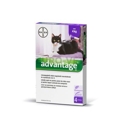 Advantage rácsepegtetõ oldat nagytestû macskáknak és nyulaknak A.U.V. (4x0,8 ml)