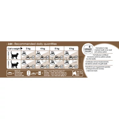 Royal Canin Ageing +12 (85 g)