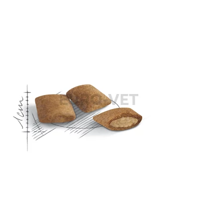 Royal Canin Ageing 12+ (4 kg)