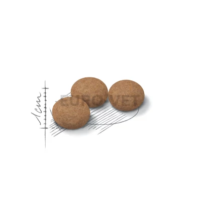 Royal Canin Ageing Sterilised 12+ (400 g)
