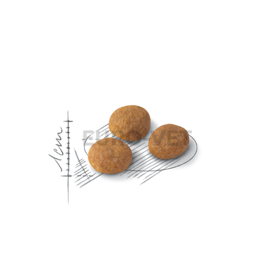 ROYAL CANIN AROMA EXIGENT - válogatós felnőtt macska száraz táp 0,4 kg