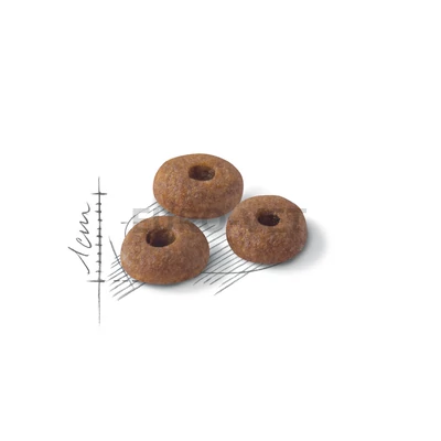 Royal Canin Fit 32 (400 g)