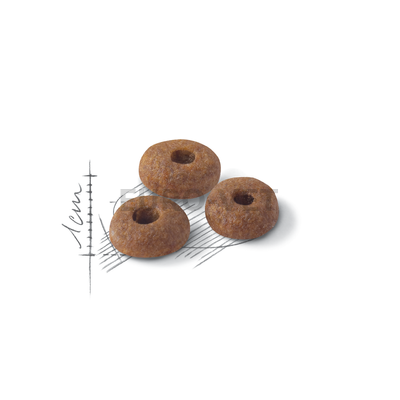Royal Canin Fit 32 (10 kg)