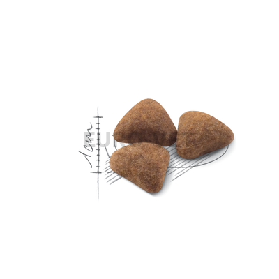 ROYAL CANIN INDOOR - lakásban tartott felnőtt macska száraz táp 4 kg