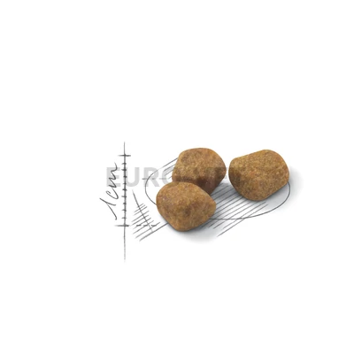 Royal Canin Indoor 7+ (400 g)