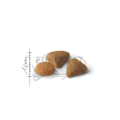 ROYAL CANIN SAVOUR EXIGENT - válogatós felnőtt macska száraz táp 10 + 2 kg