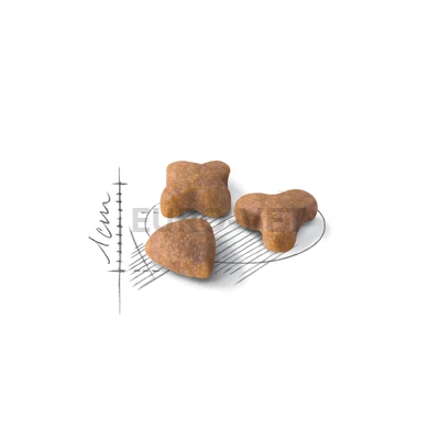Royal Canin Sensible 33 (400 g)