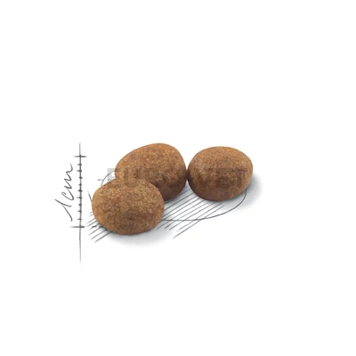 Royal Canin Sterilised 37 (10 kg)
