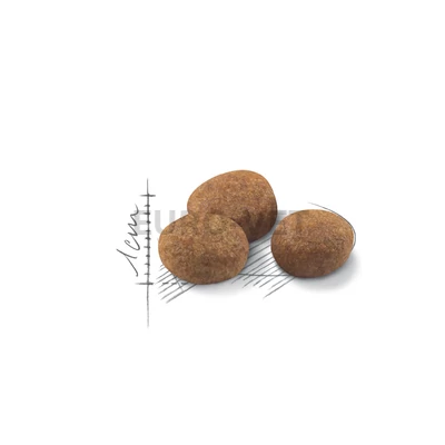 Royal Canin Sterilised 7+ (10 kg)
