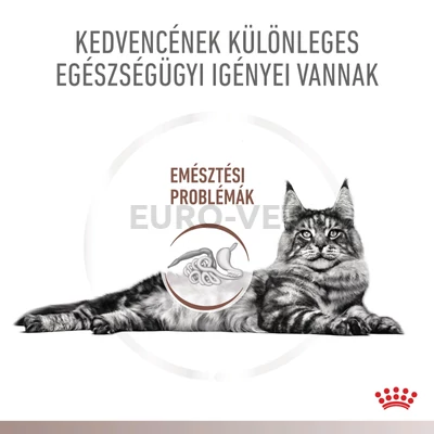 Royal Canin Multifunction Gastrointestinal Hydrolysed Protein - száraz eledel felnőtt macskák részére 2 kg