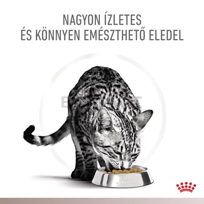 Royal Canin Multifunction Gastrointestinal Hydrolysed Protein - száraz eledel felnőtt macskák részére 2 kg