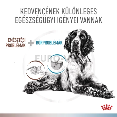 Royal Canin Multifunction Gastrointestinal Low Fat + Hypoallergenic száraztáp ételallergiás, emésztési zavarokkal küzdő felnőtt kutyák számára - állatorvosi déitás táp, alacsony zsírtalrtalommal és hipoallergén formulával