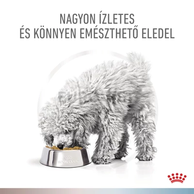 Royal Canin Multifunction Gastrointestinal Low Fat + Hypoallergenic száraztáp ételallergiás, emésztési zavarokkal küzdő felnőtt kutyák számára - állatorvosi déitás táp, alacsony zsírtalrtalommal és hipoallergén formulával