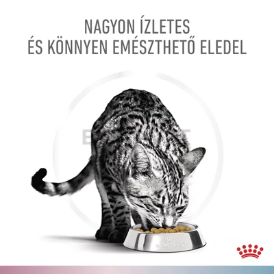 Royal Canin Multifunction Renal + Hypoallergenic - száraz eledel felnőtt macskák részére struvit kő ellen és hipoallergén 2 kg