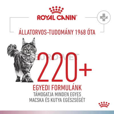 Royal Canin Multifunction Renal + Hypoallergenic - száraz eledel felnőtt macskák részére struvit kő ellen és hipoallergén 2 kg