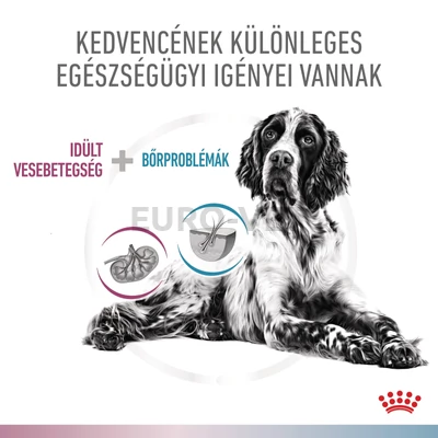 Royal Canin Multifunction Renal + Hypoallergenic - száraz eledel felnőtt kutyák részére veseelégtelenségre, veseműködés támogatására és hipoallergén 4 kg