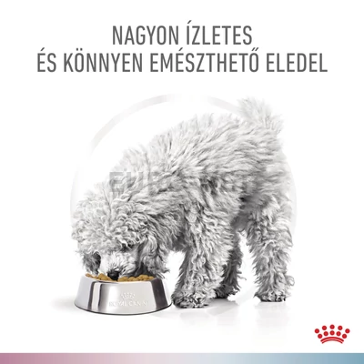  Royal Canin Multifunction Renal + Hypoallergenic - száraz eledel felnőtt kutyák részére veseelégtelenségre, veseműködés támogatására és hipoallergén 4 kg