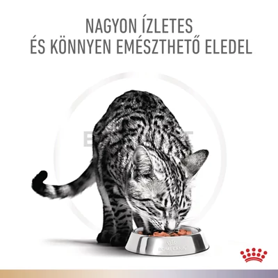 Royal Canin Multifunction Urinary S/O + Bladder Comfort - nedves eledel felnőtt macskák részére struvit kő és idiopátiás hólyaghurut ellen 12x85 g