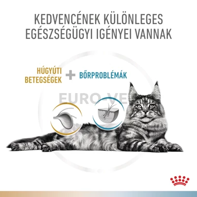  Royal Canin Multifunction Urinary S/O + Hypoallergenic - száraz eledel felnőtt macskák részére struvit kő ellen és hipoallergén 2 kg