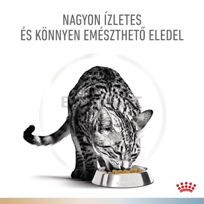  Royal Canin Multifunction Urinary S/O + Hypoallergenic - száraz eledel felnőtt macskák részére struvit kő ellen és hipoallergén 2 kg