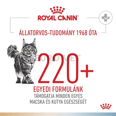  Royal Canin Multifunction Urinary S/O + Hypoallergenic - száraz eledel felnőtt macskák részére struvit kő ellen és hipoallergén 2 kg