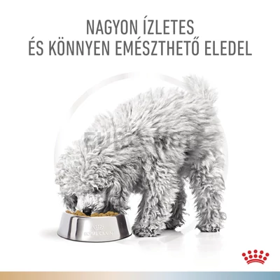 Royal Canin Multifunction Urinary S/O + Hypoallergenic - száraz eledel felnőtt kutyák részére struvit kő ellen és hipoallergén 3,5 kg