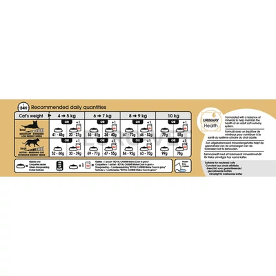 Royal Canin Maine Coon ADULT 2 kg