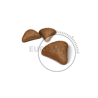 Royal Canin HAIRBALL CARE 10 kg