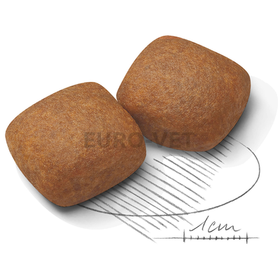 ROYAL CANIN GIANT JUNIOR -  óriás testű kölyök kutya száraz táp 3,5 kg