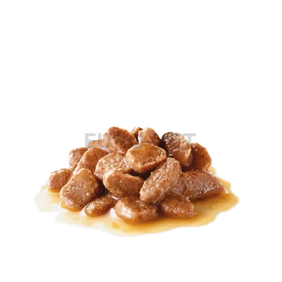 Royal Canin Hairball Care 85 g