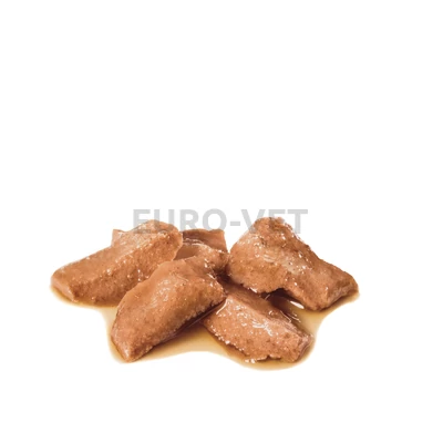 ROYAL CANIN MAINE COON ADULT - Maine Coon felnőtt macska nedves táp 0,085 kg
